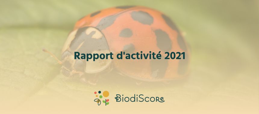 Rapport d'activité 2023